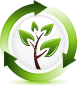renew